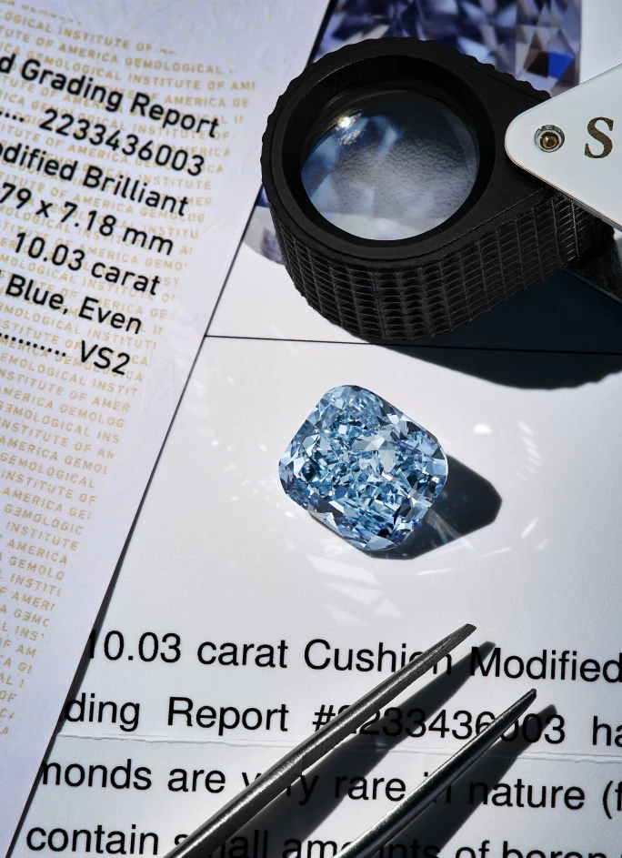 Diamant bleu aux ench&egrave;res &agrave; Gen&egrave;ve1