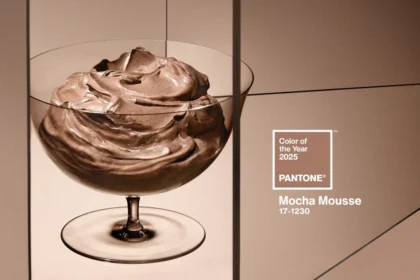 Pantone 2025 Mousse moka