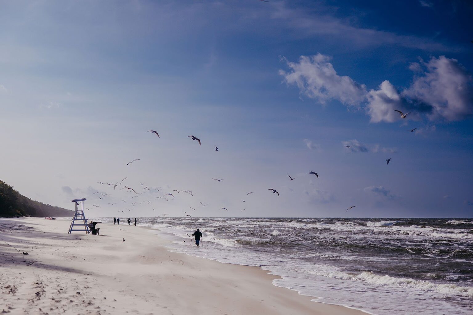 Promenades hivernales au bord de la mer Linea Mare