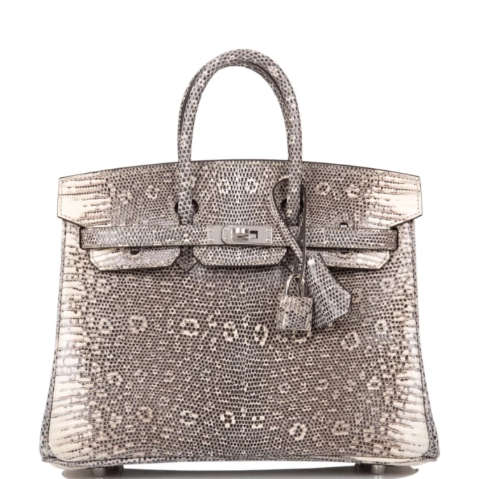 Hermes Vs Les clientes Sac Birkin5