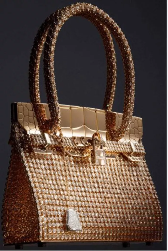 Hermes Vs Clientes Sac Birkin6