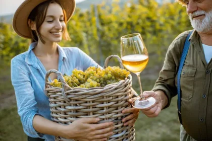 La numérisation du marché du vin en Pologne : technologies, défis et avenir