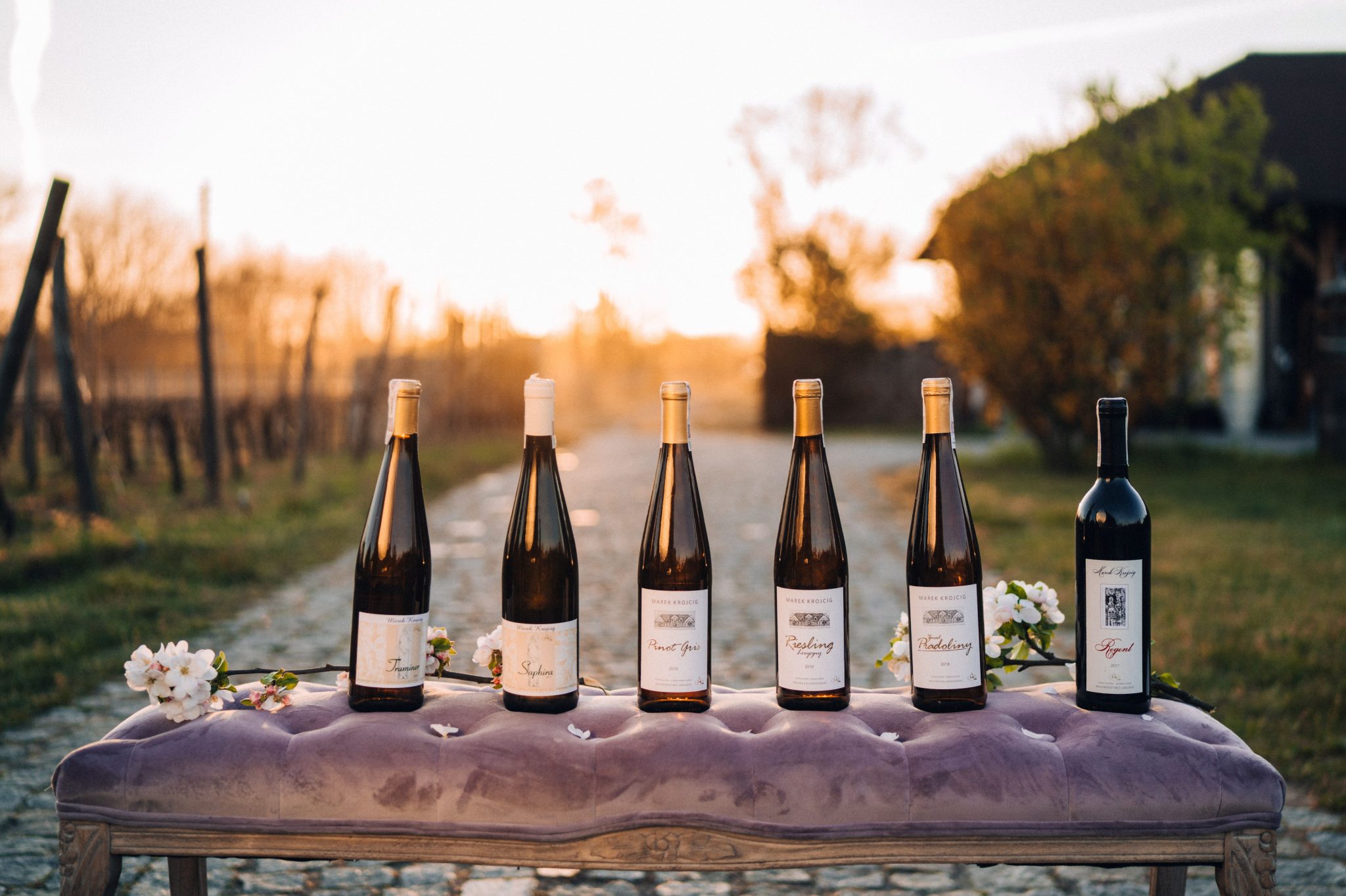 Vignobles &agrave; Zielona G&oacute;ra