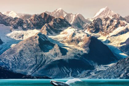 Croisière de luxe sur la route des glaciers1