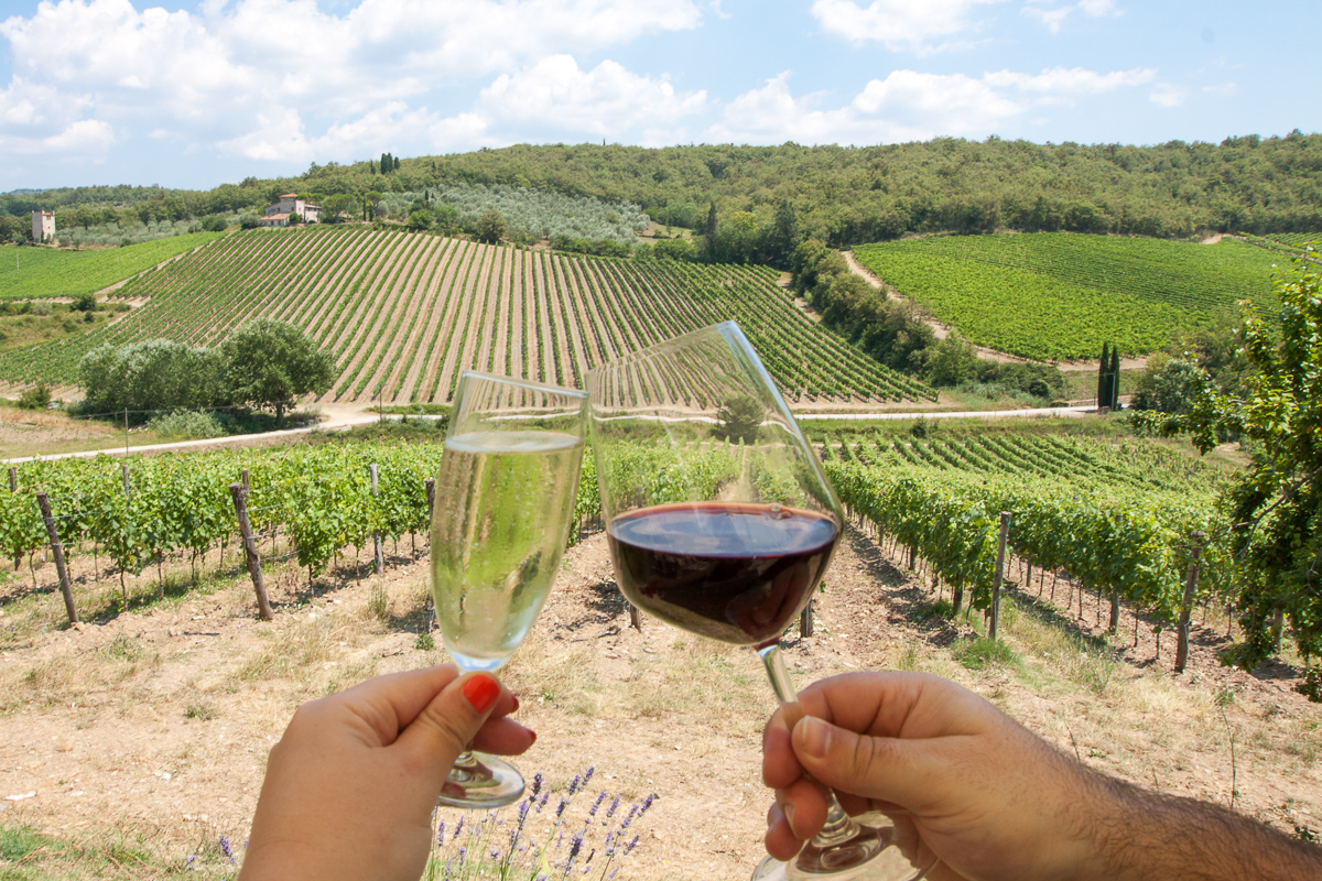 Vignobles en Toscane