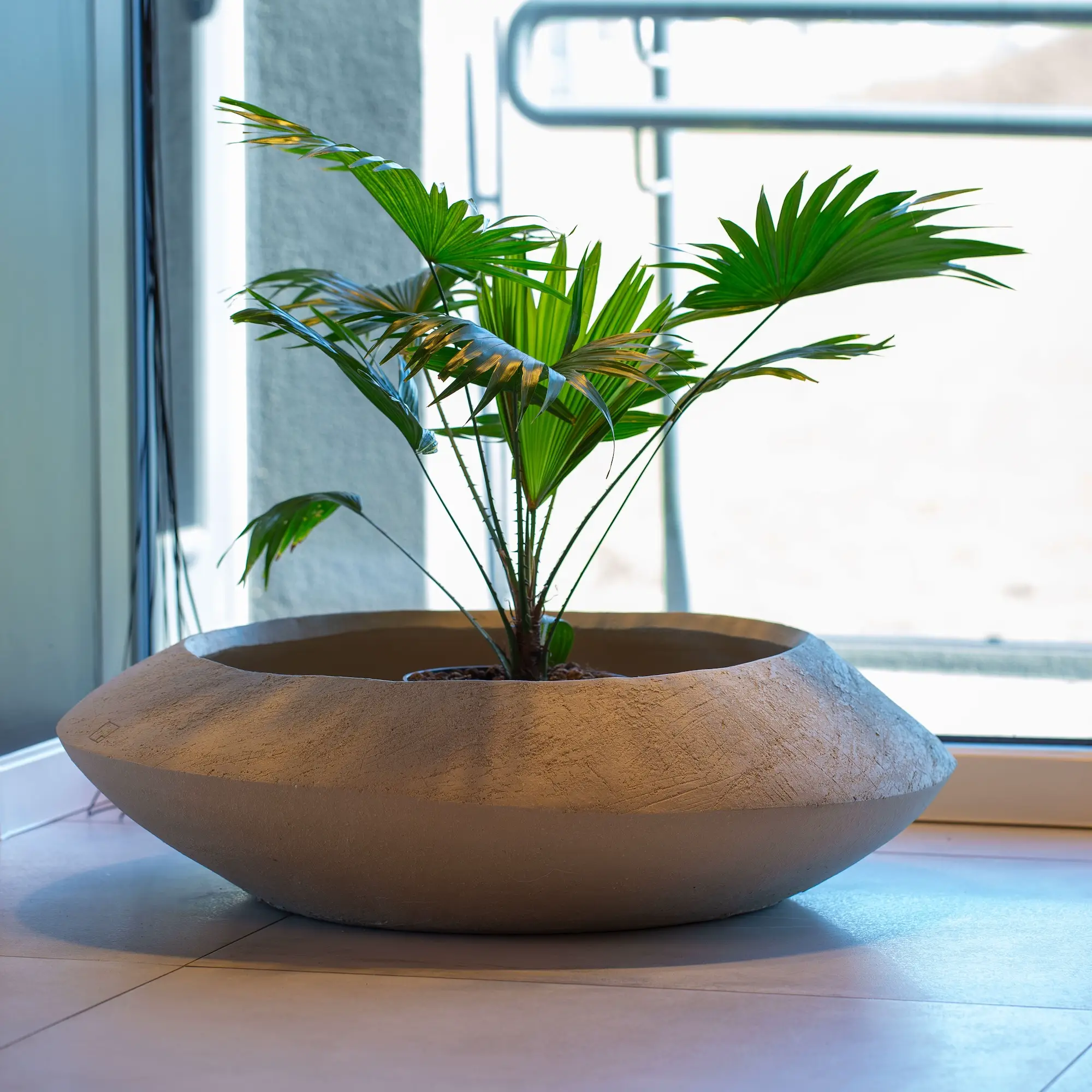 Pots XXL pour la maison