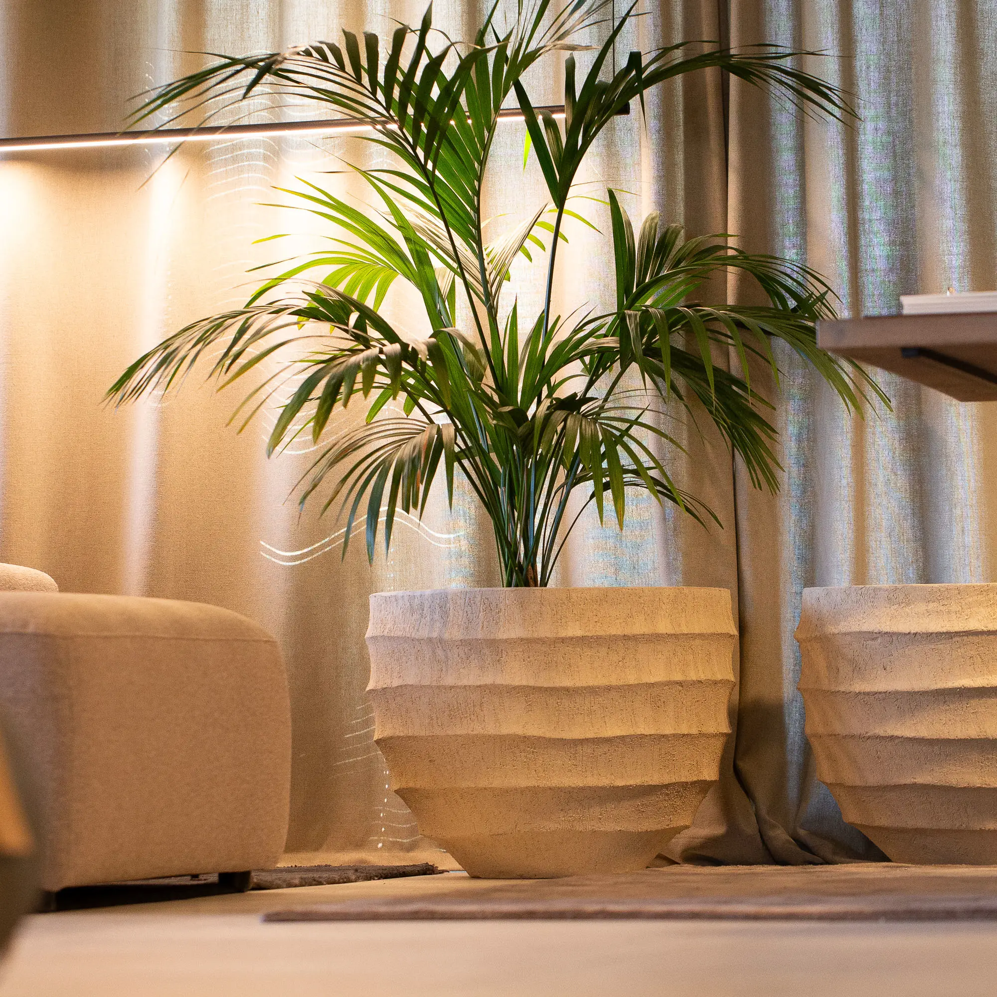 Pots d'int&eacute;rieur XXL
