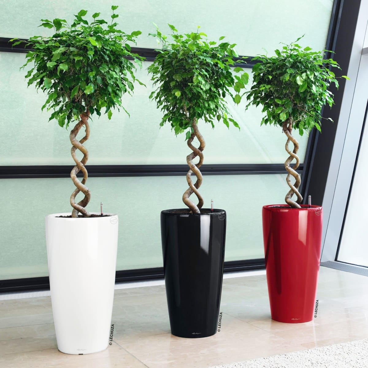Pots XXL de marque
