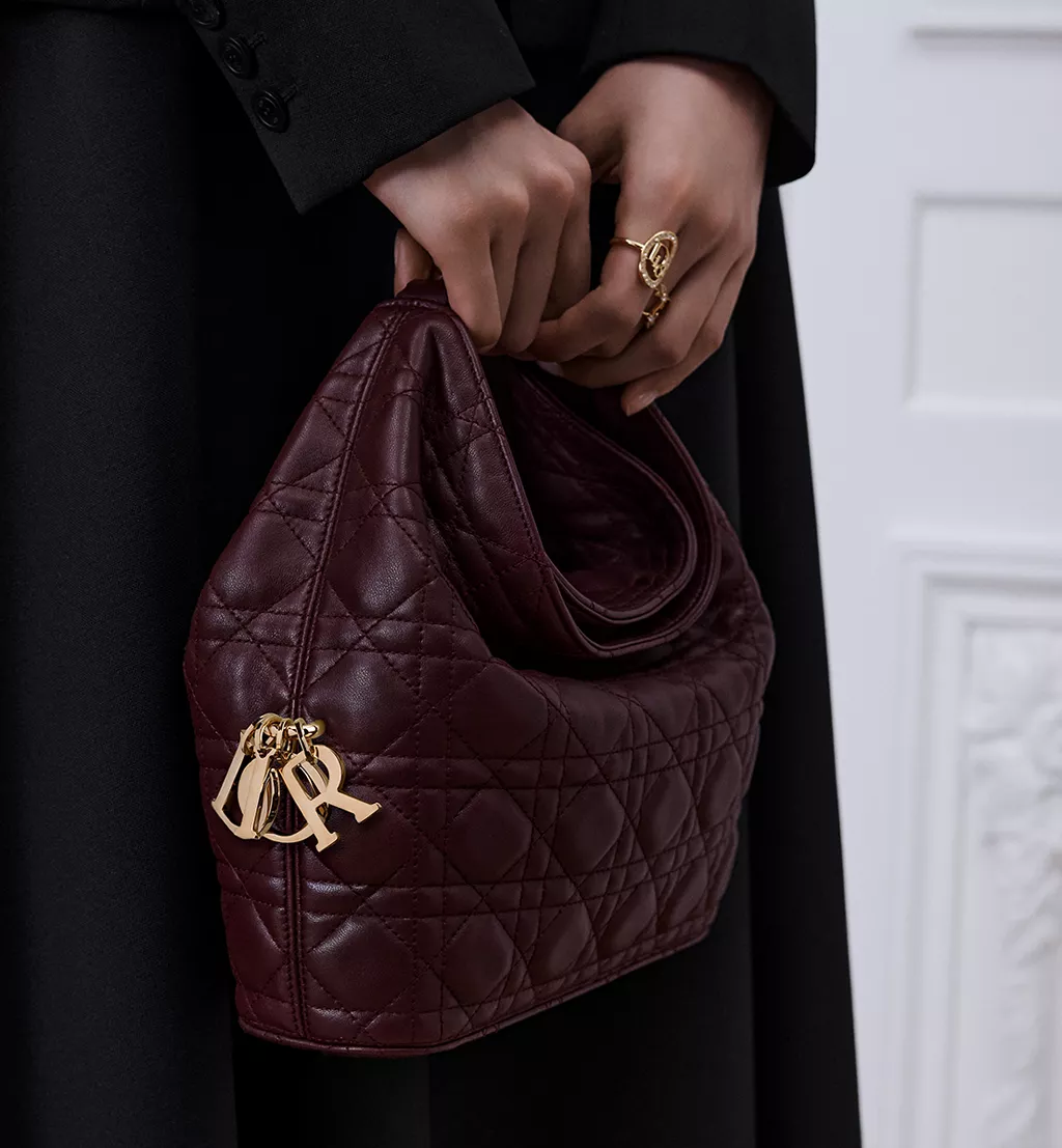 Sac &agrave; main bordeaux Dior