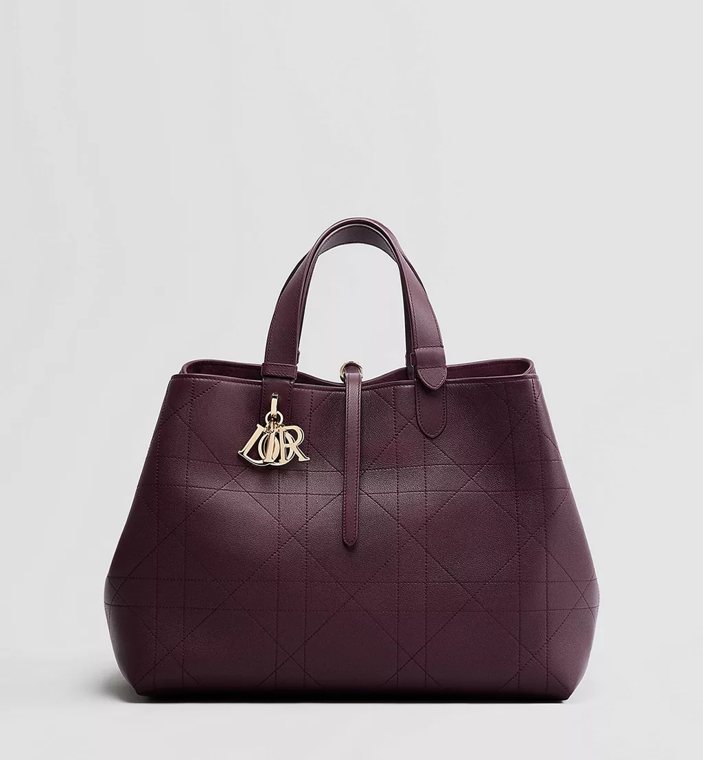 Sac &agrave; main bordeaux Dior1