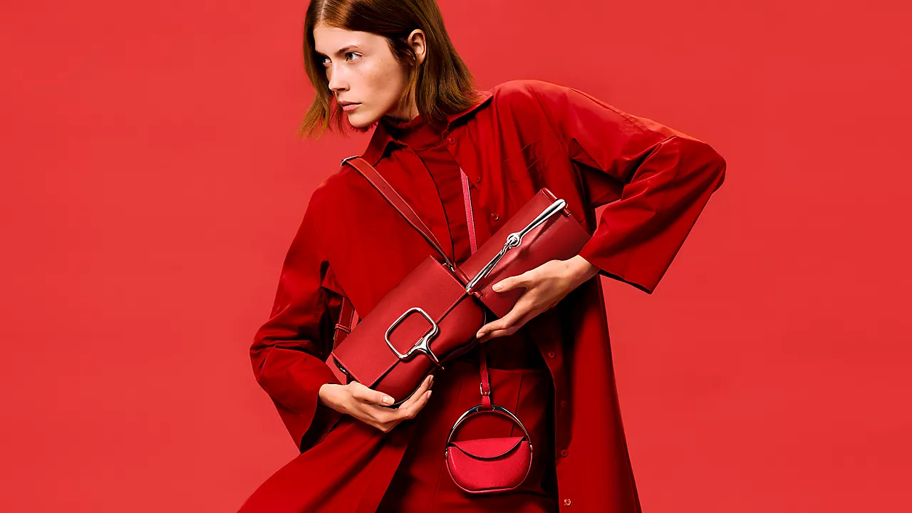 Sac à main bordeaux Hermes